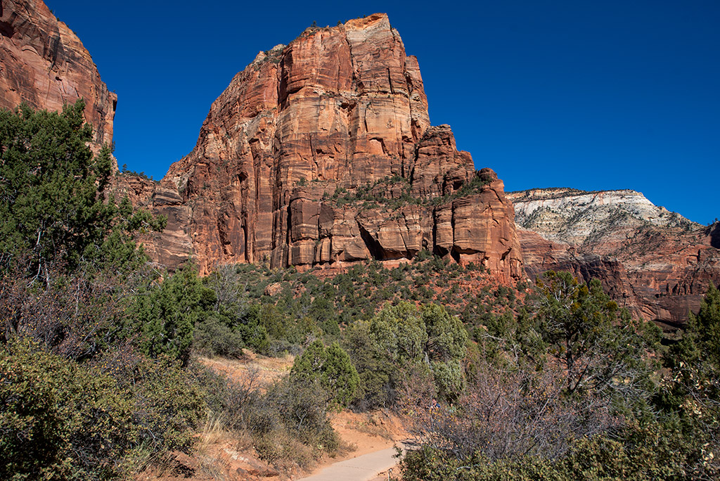 The Angels Landing Trail in Zion with West Rim Trail.