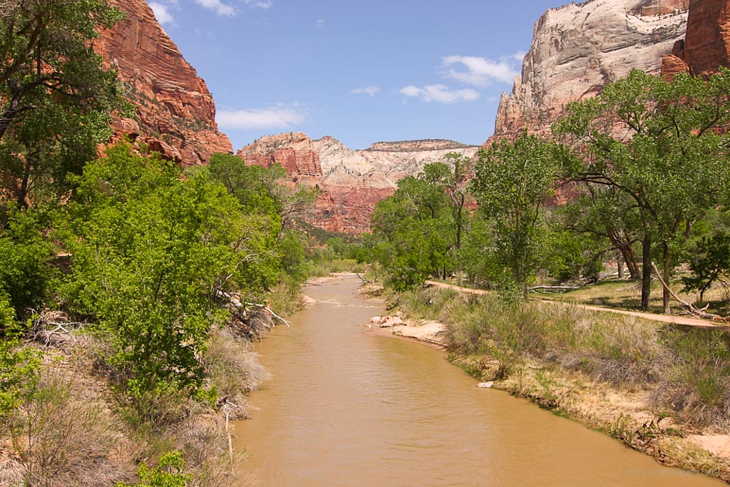 The River, Zion National Park, on Kayenta Trail.