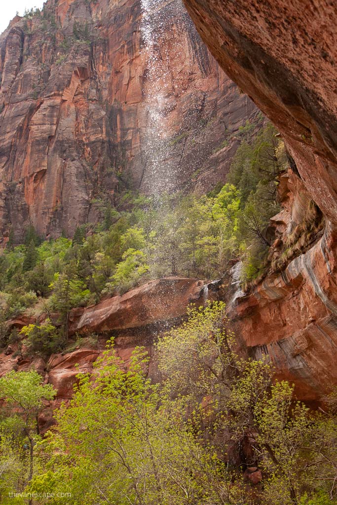 Lower Emerald Pool Trail in Zion.