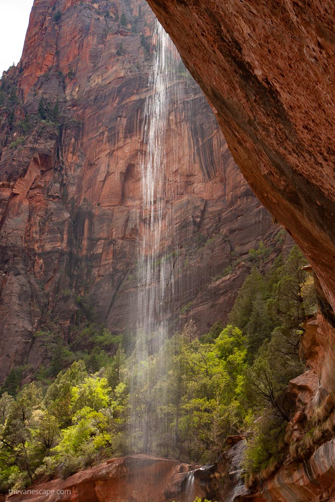 Lower Emerald Pool Trail in Zion.