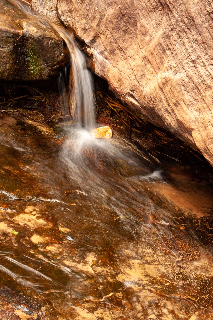 Upper Emerald Pool Trail in Zion.