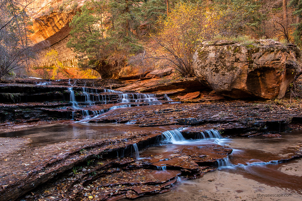 The Red Waterfalls during The Subway Zion hike during fall with yellow leaves on trees.