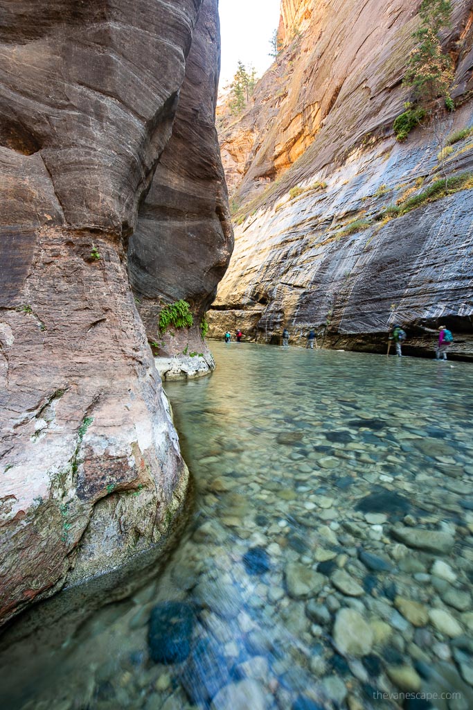People hiking in the Narrows. 