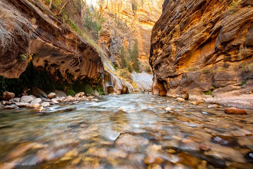 Orange walls of canyon and water in the river during the the Narrows hike.