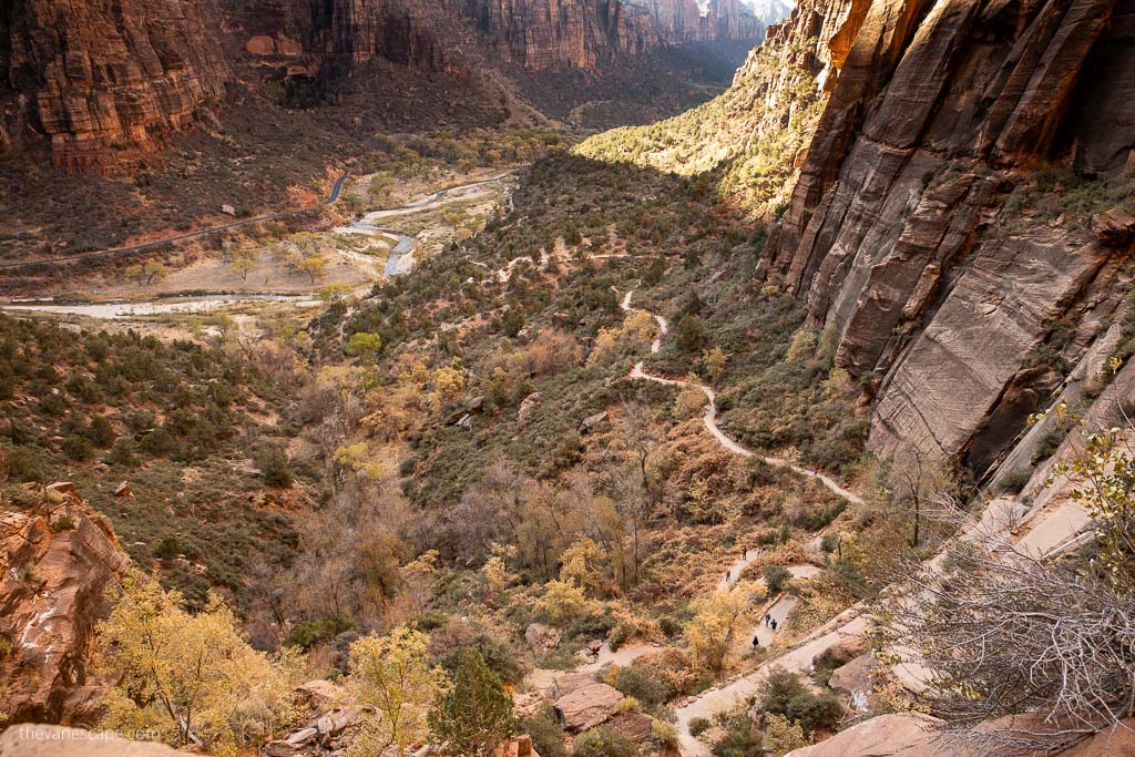 Angels Landing Trail: path and oranges rocks.