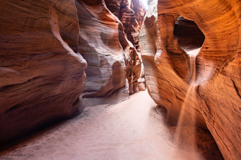 Buckskin Gulch Day Hike Guide: Trailhead, Permits, Safety Tips, and What to Expect
