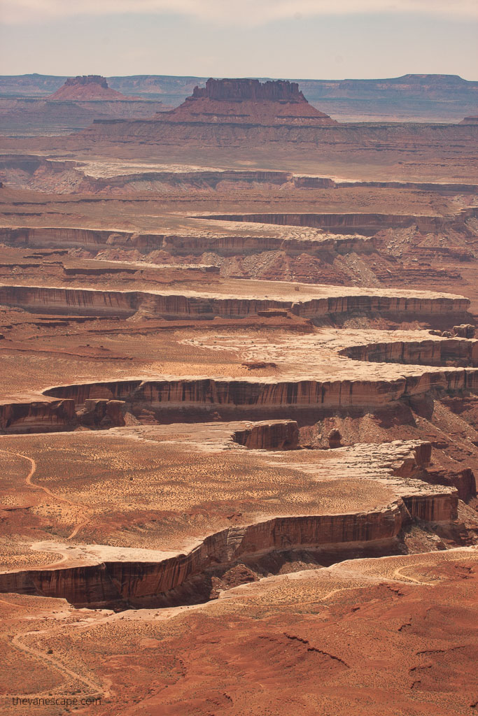stunning view over Canyonlands after sunset.