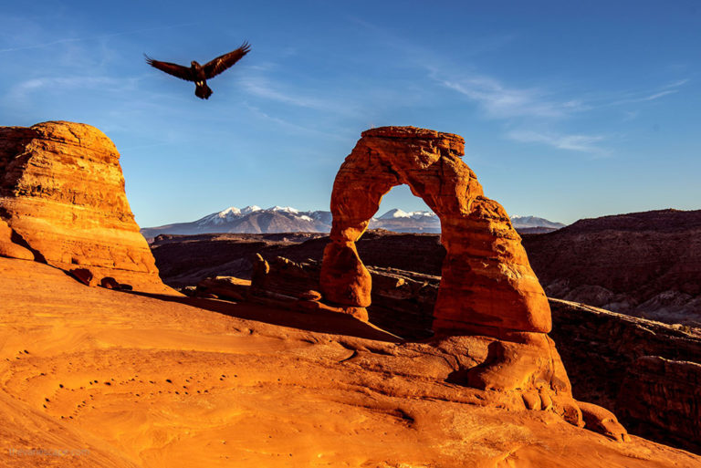 17 Best Things to Do in Arches National Park: Top Hikes, Arches, and Scenic Drives