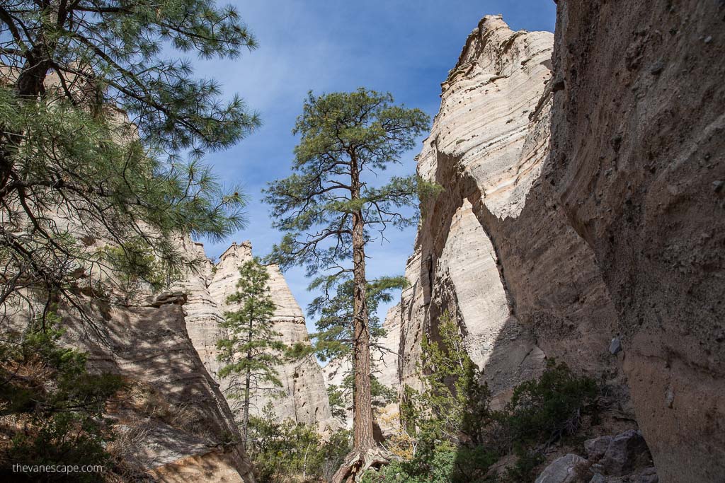 Tent Rocks National Monument with trees and hoodoos formations.