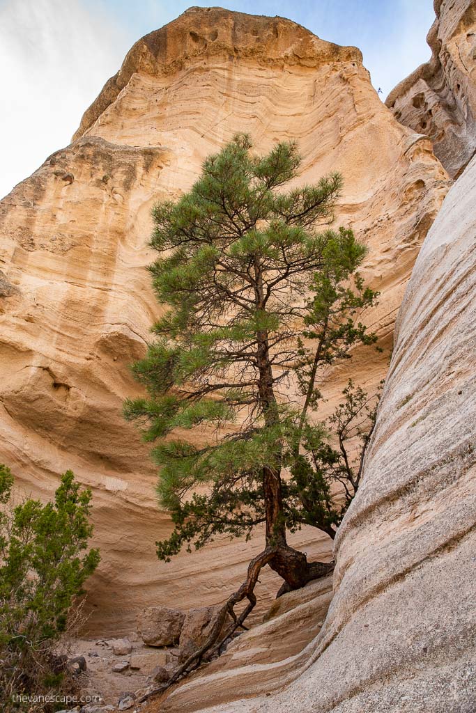 slot canyon walls