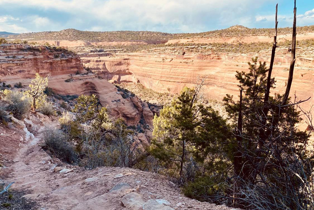 Backcountry hiking trails in Colorado National Monument.