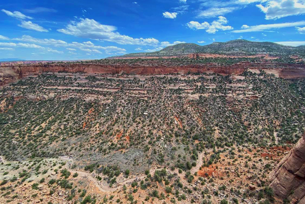 Colorado plateau