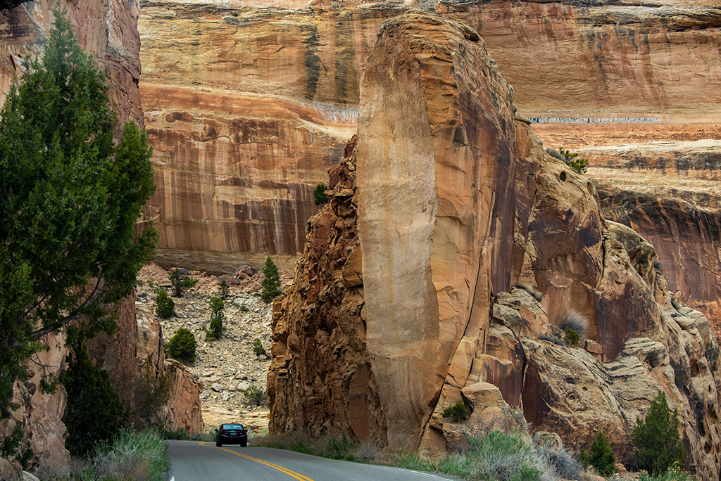 Car on the Rim Rock Drive.