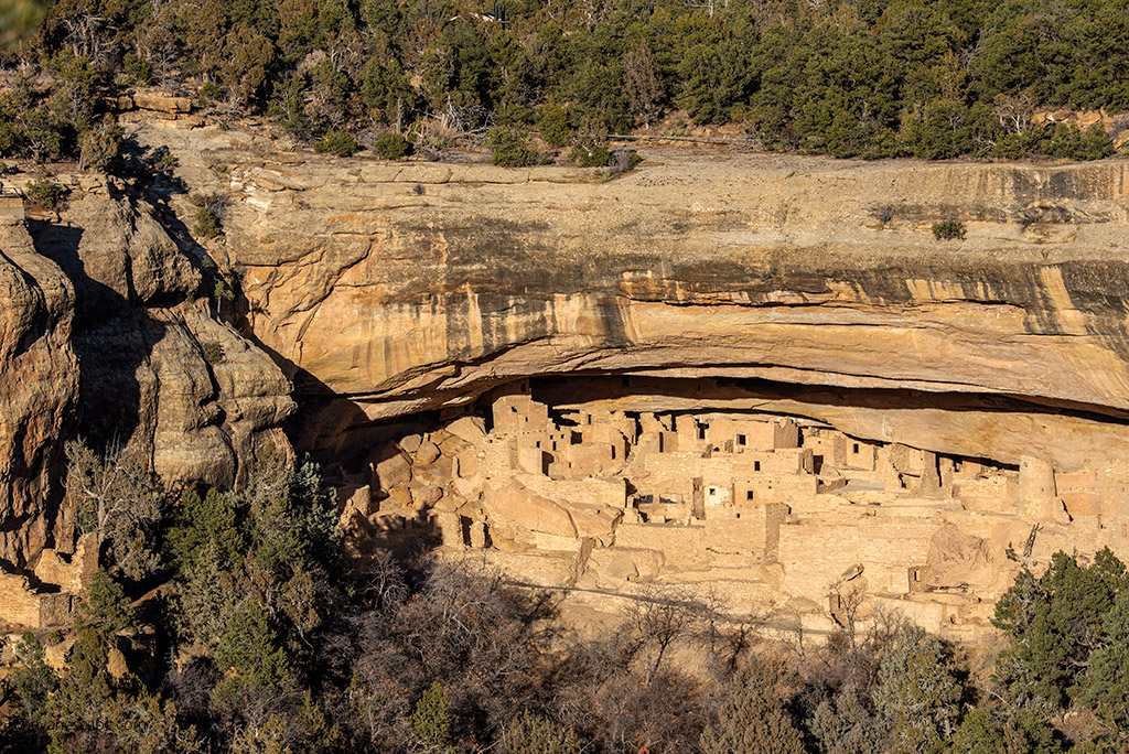 Cliff Palace during Cliff Dwelling Tour