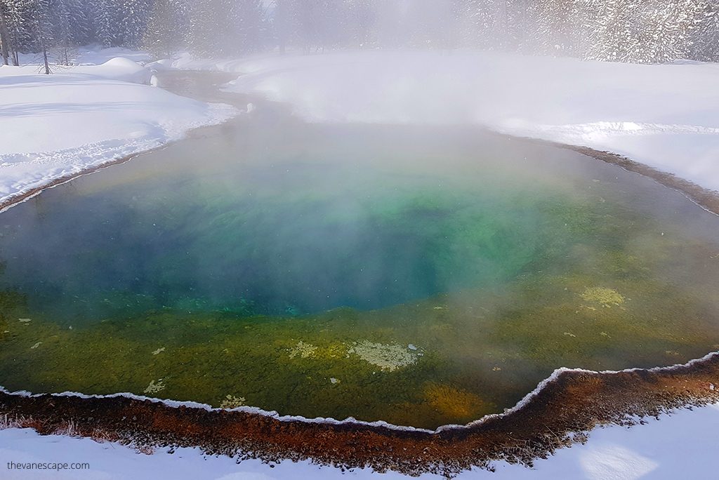 steaming colorful geysers in the winter scenery of Yellowstone.