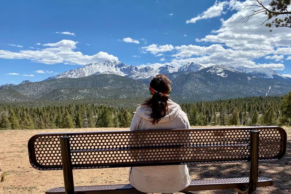 view