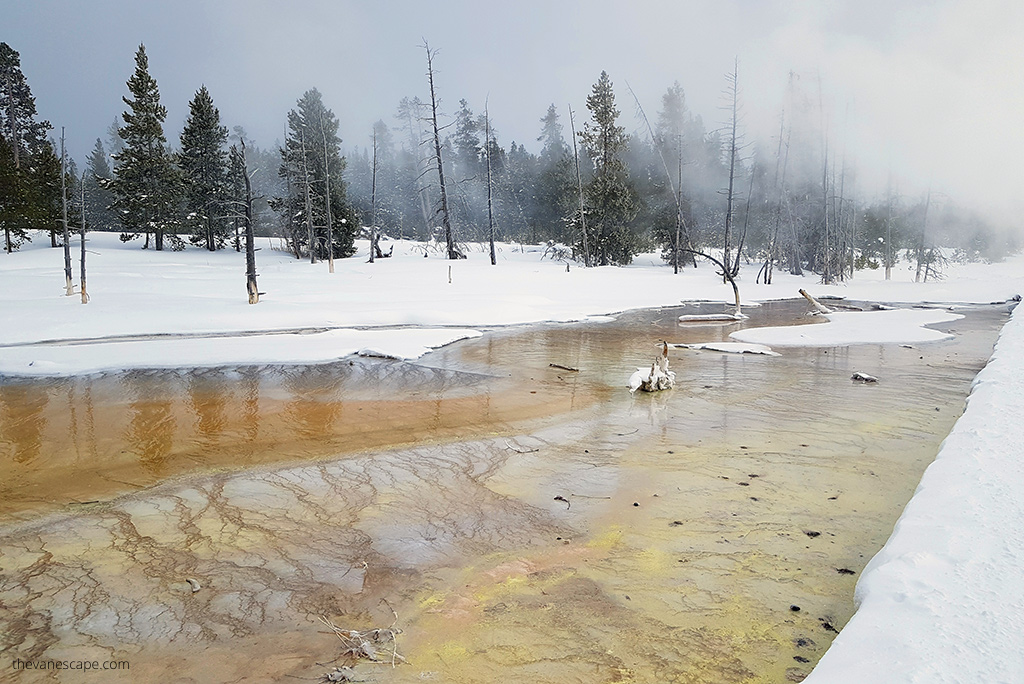 geysers