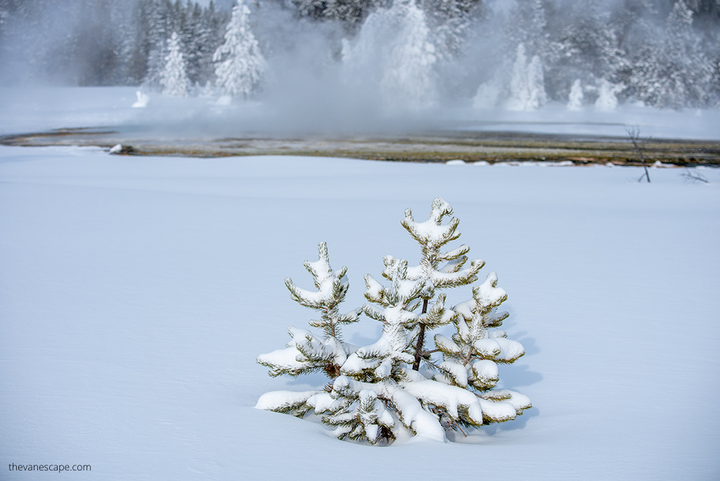 winter
