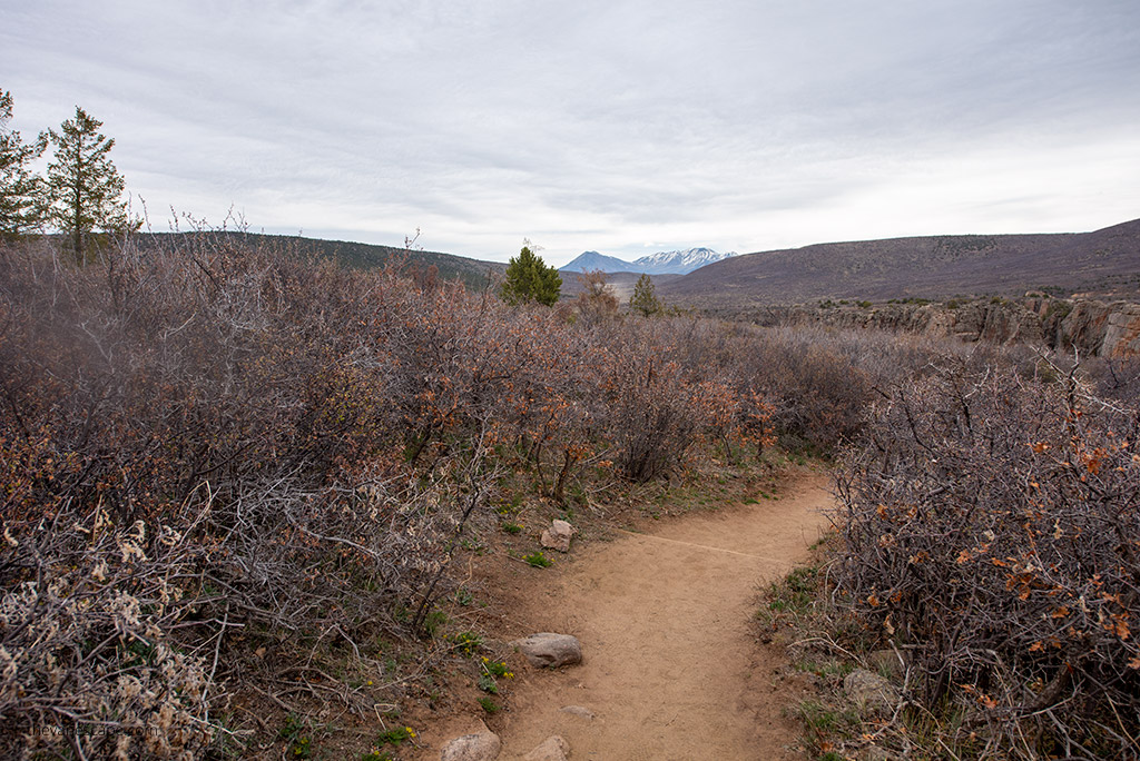 hiking trail in Black Canyon of the Gunnison