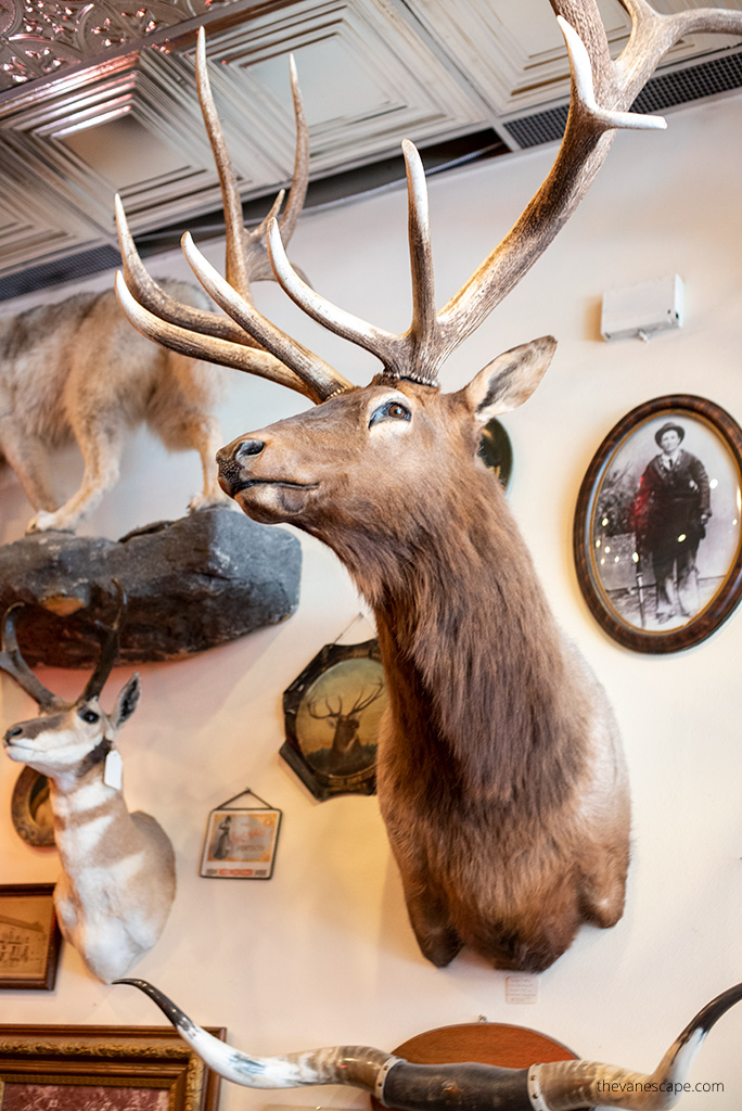 Wild Bill Bar in Deadwood, South Dakota.