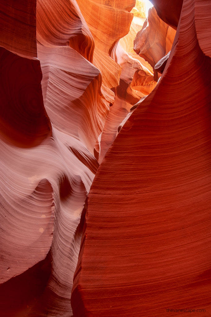 Navajo sandstone.