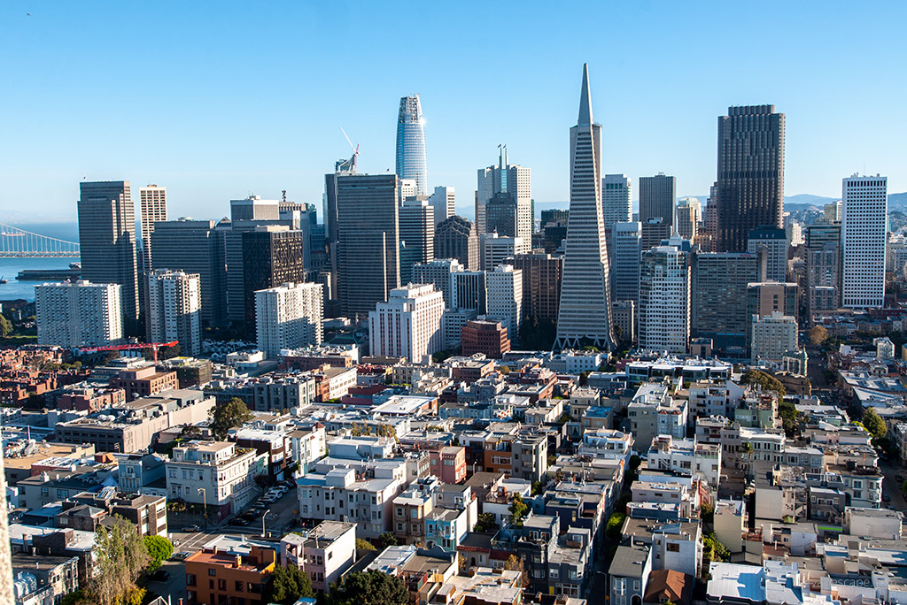 The city view from Coit Tower.