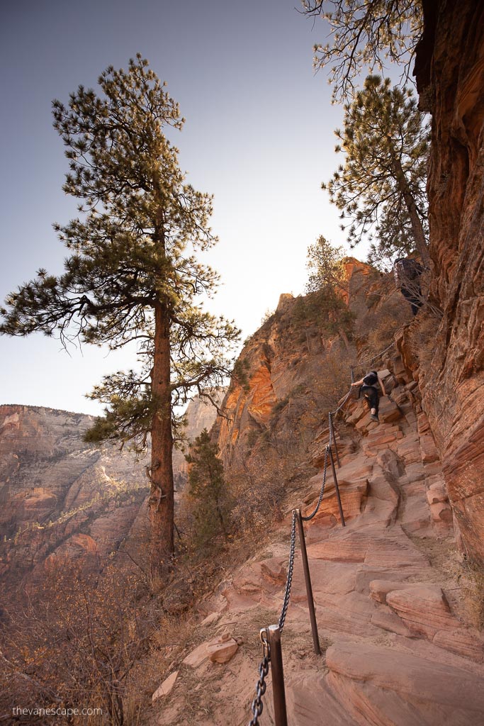 Angels Landing trail.
