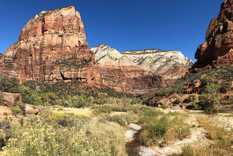 Best Hikes in Zion: Easy, Moderate, and Challenging Trails