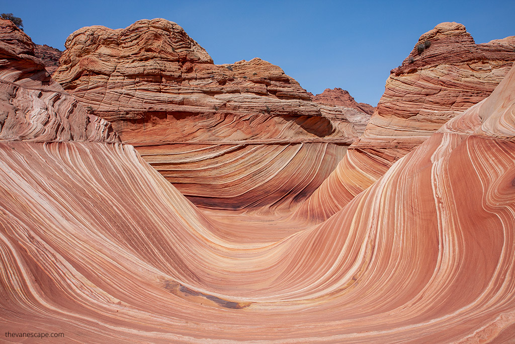 The Wave hike and delicate rock formation.