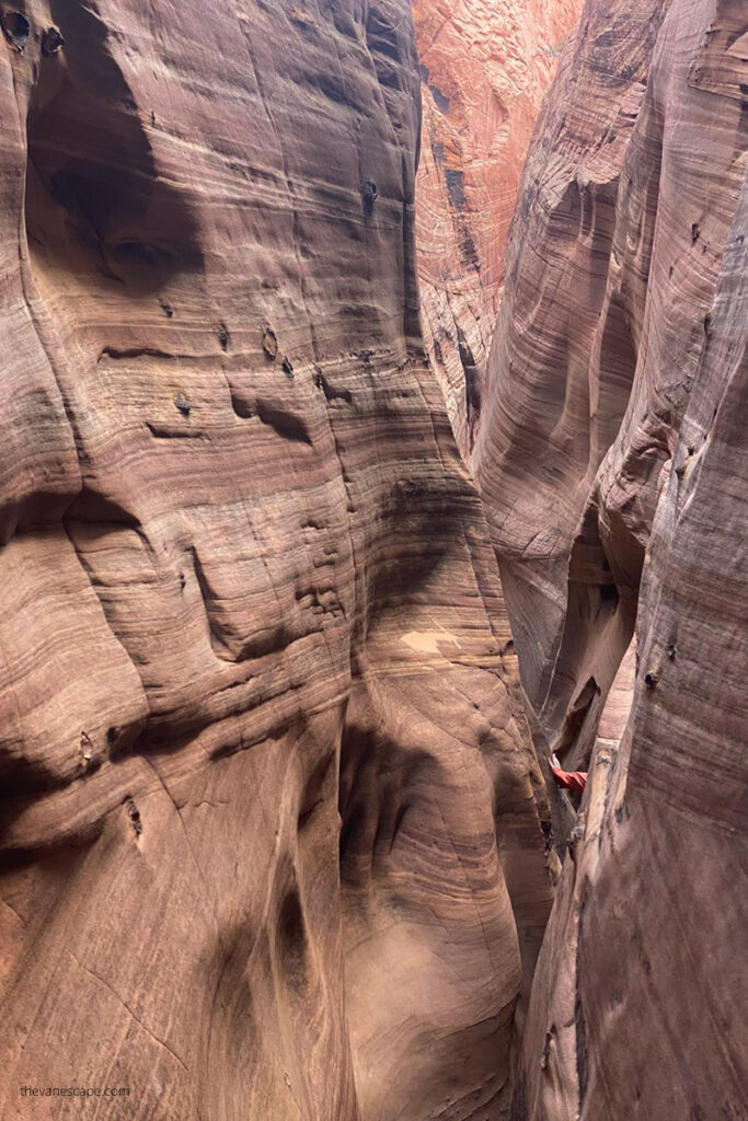 Agnes squeezed Zebra Slot Canyon in Utah.