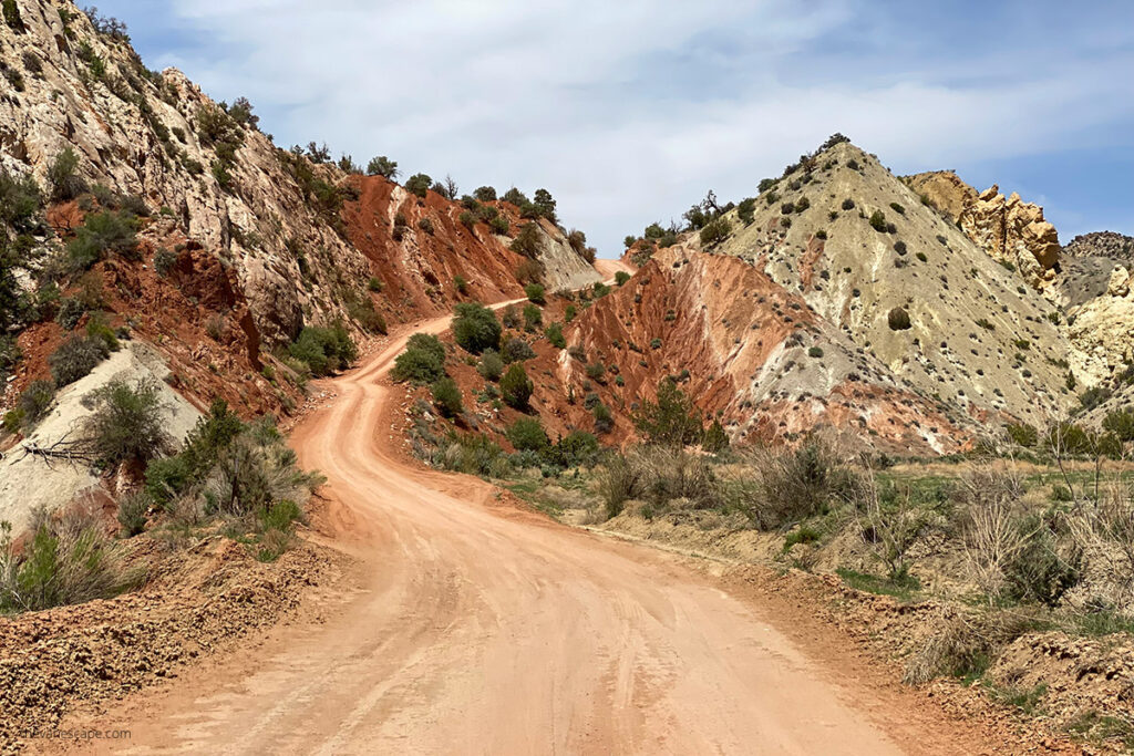 Driving the Cottonwood Canyon Road.