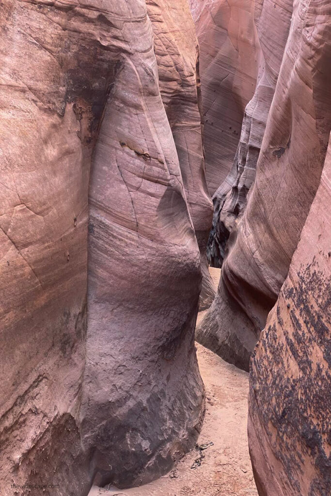 Narrow walls of the Zebra Slot Canyon Hike in Utah.