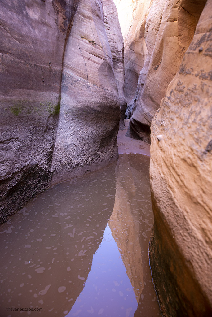 Qater level in Zebra Slot Canyon.
