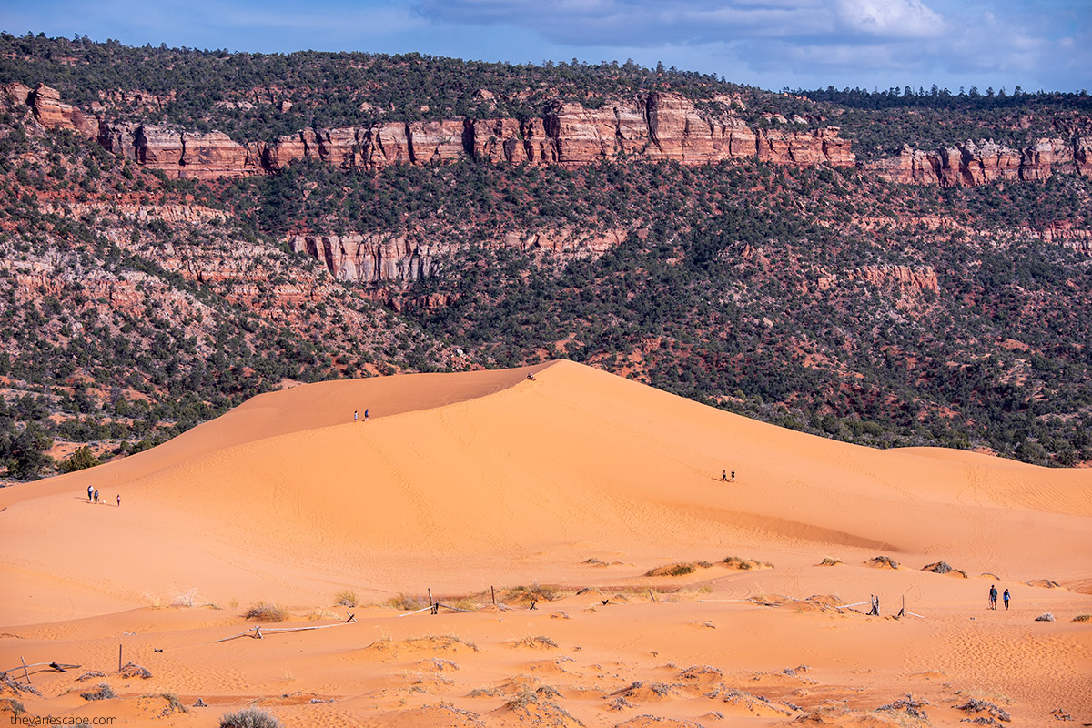 Coral Pink Sand Dunes State Park.