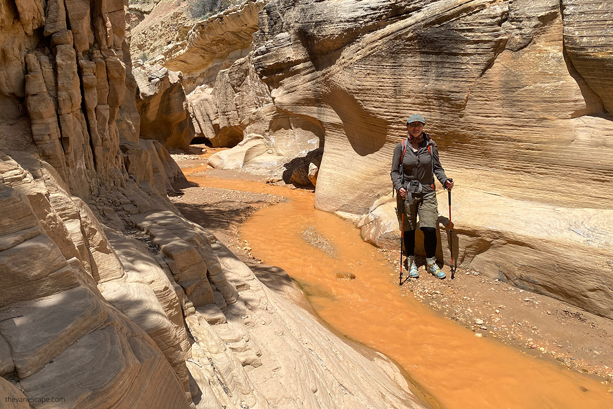 Agnes Stabinska is hiking Willis Creek Narrows in sunny day. Water in streem and walls are yellows. 