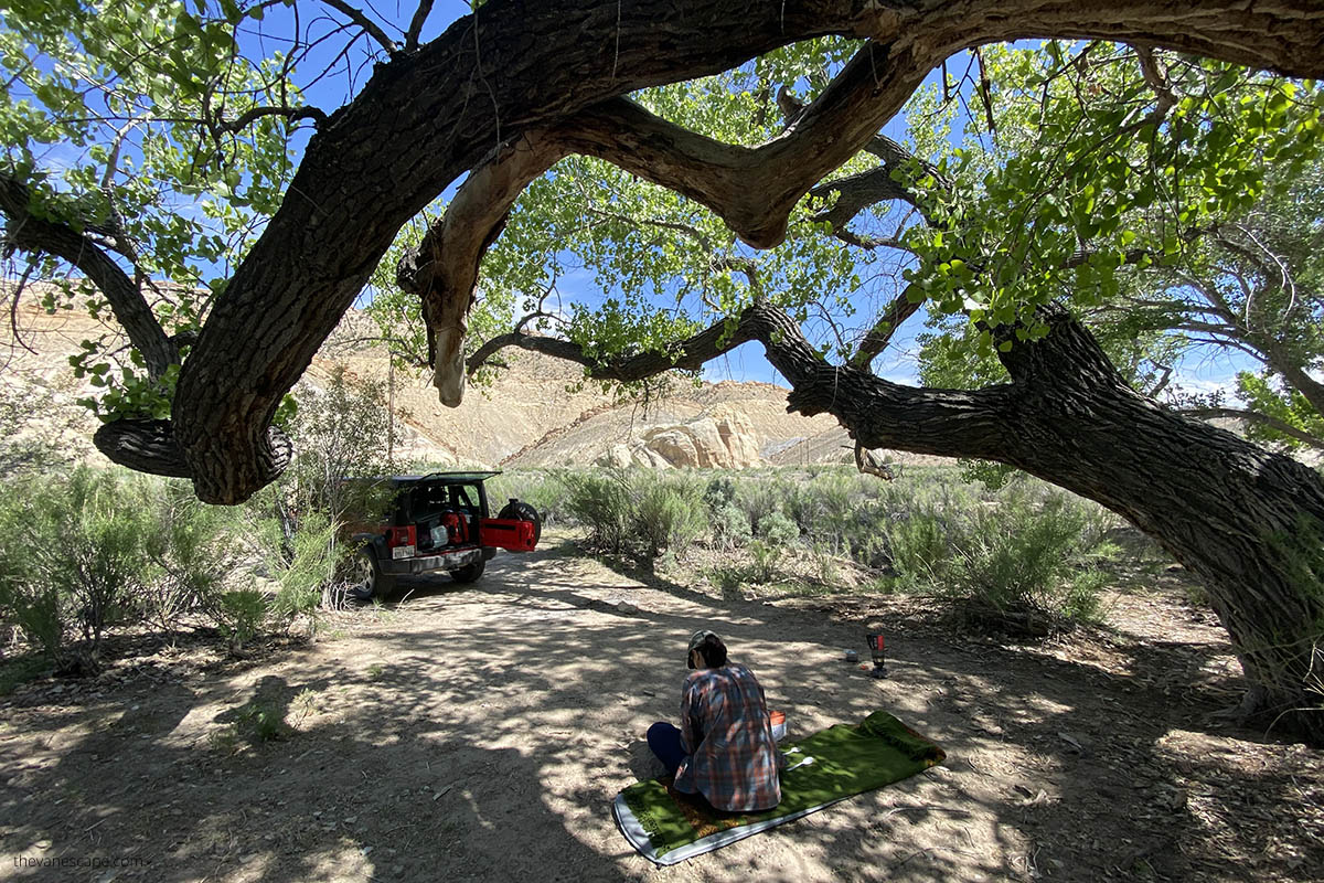 Agnes sitting in the shade under a huge cottonwood tree while camping along the cottonwood canyon road.