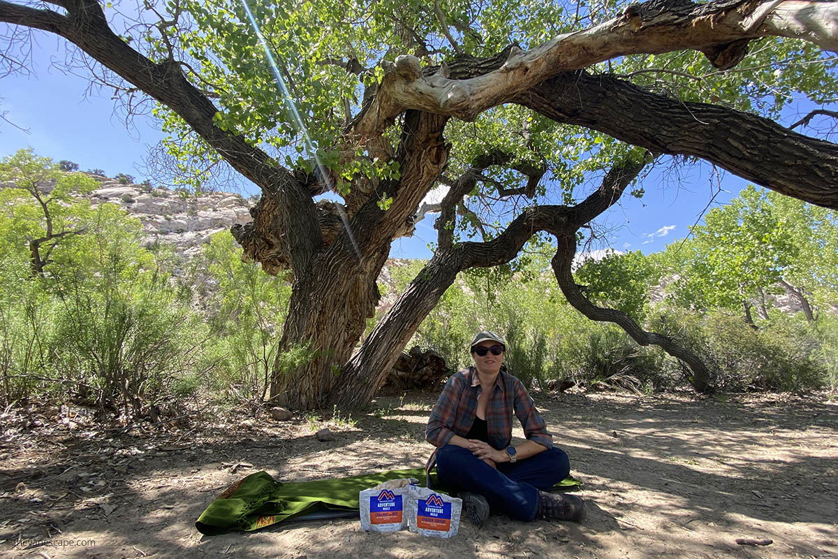 Agnes Stabinska, the author, is sitting in the shade under a huge cottonwood tree while camping along the road.