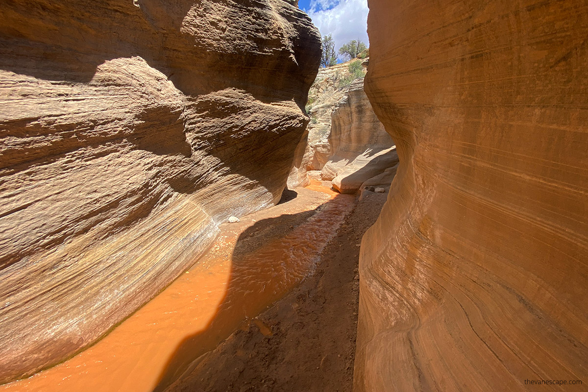Willis Creek Slot Canyon near Escalante.
