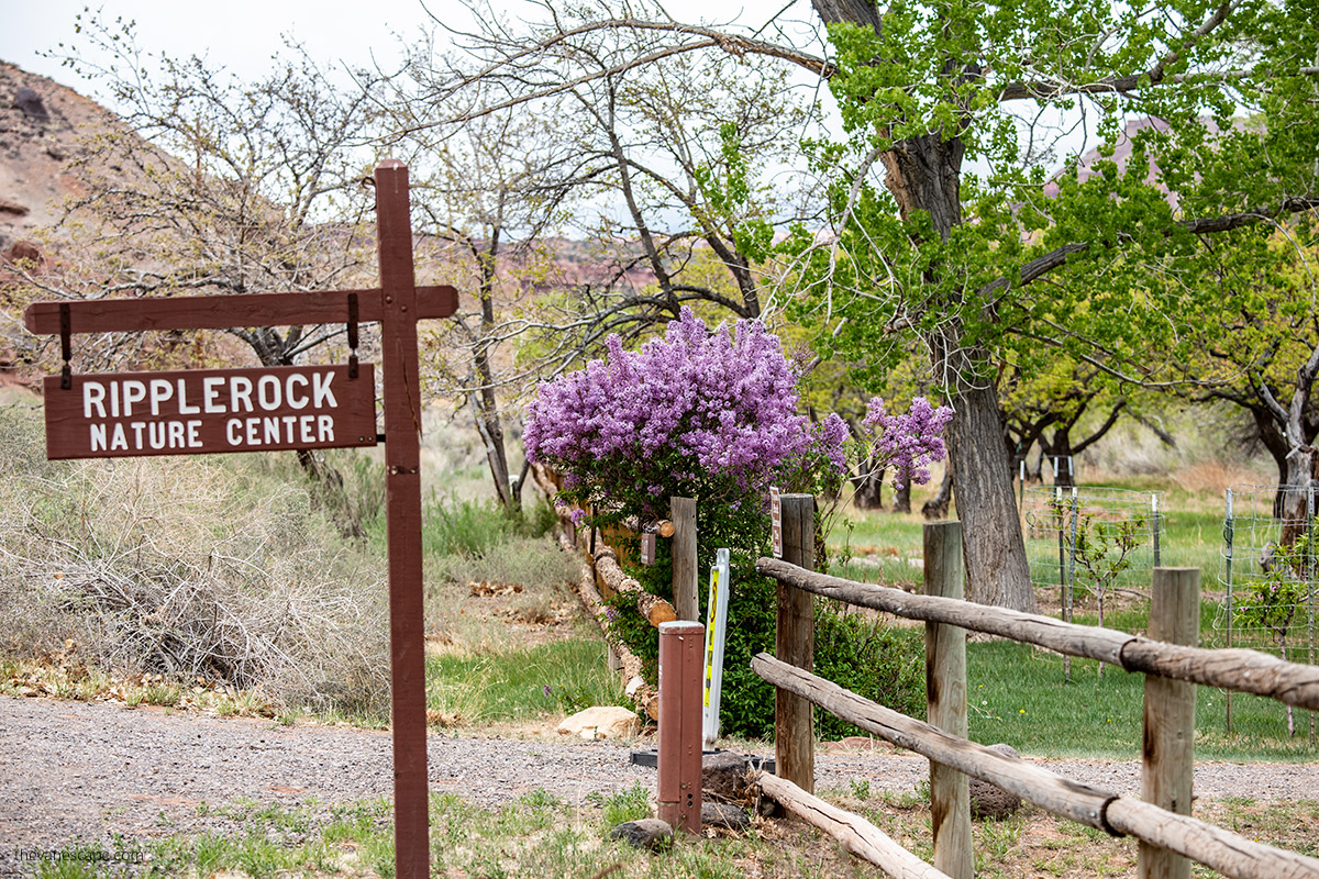 sign to ripple rock nature center with blooming flowers.