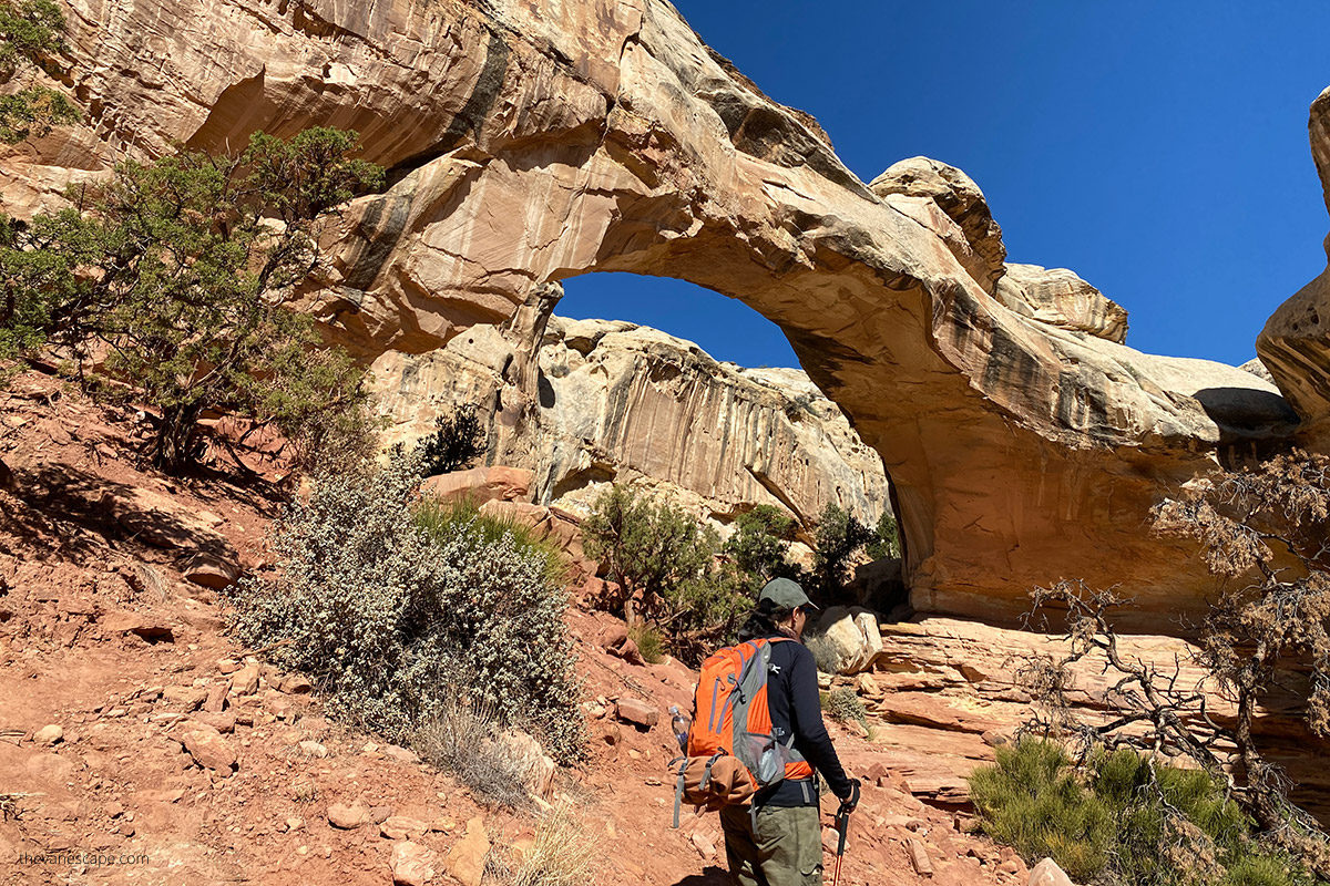 Agnes Stabinska, the author, is hiking in capitol reef national park to huge hickman bridge.