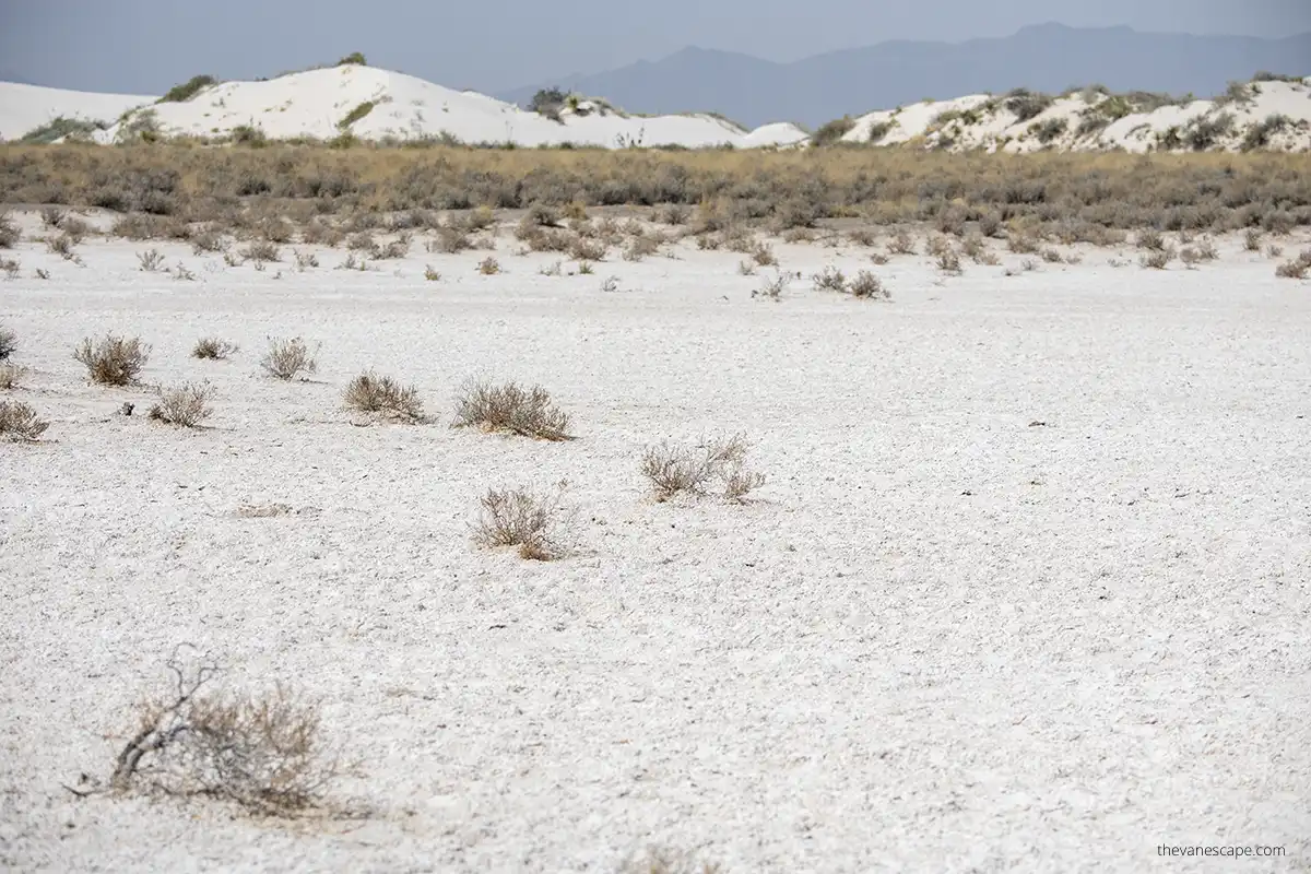 Playa Trail in White Sands.