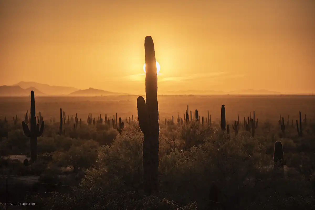 Stunning sunset with saguaros in Picacho Peak State Park.