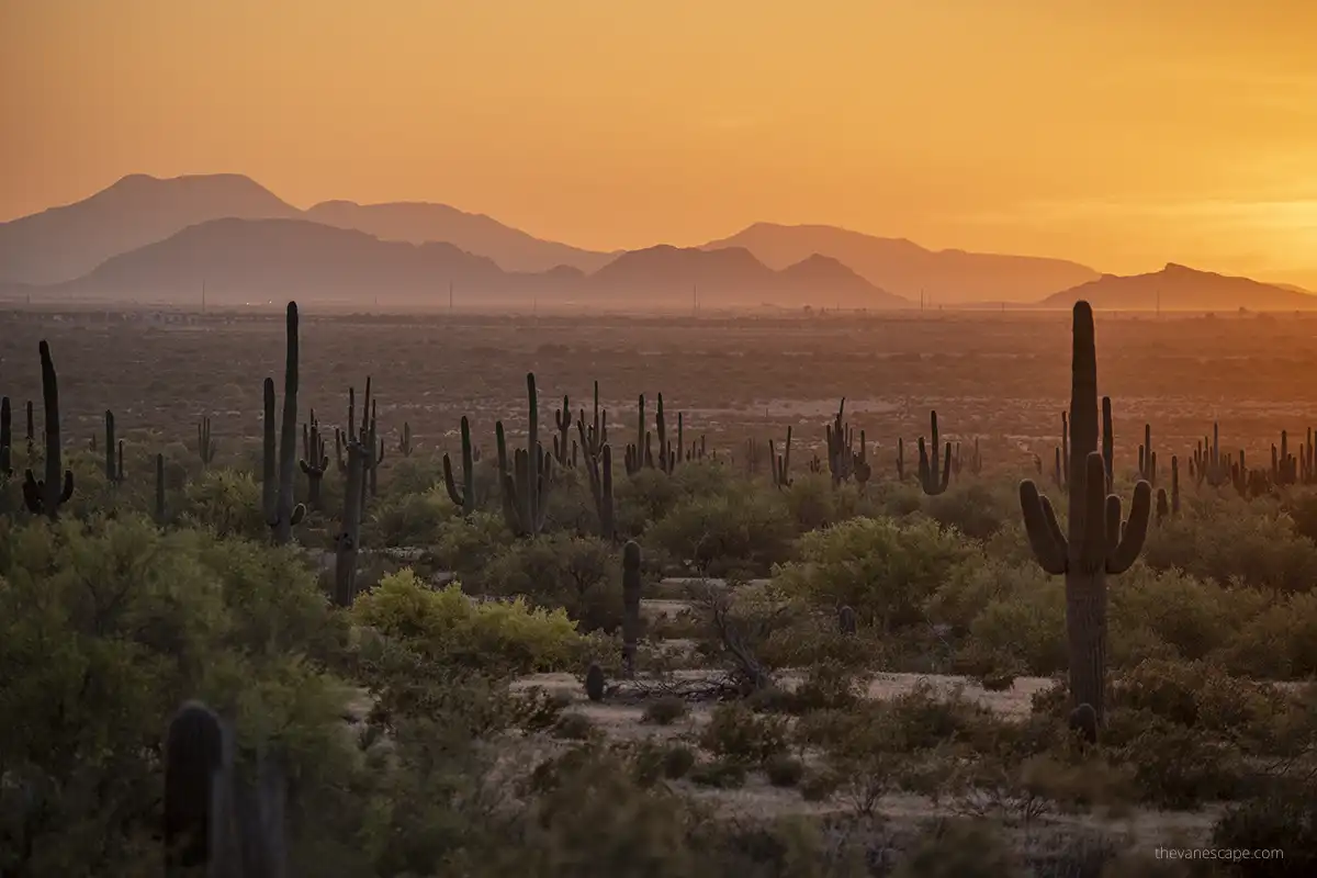 Sunset at Picacho Peak State Park with saguaro cacti at front.