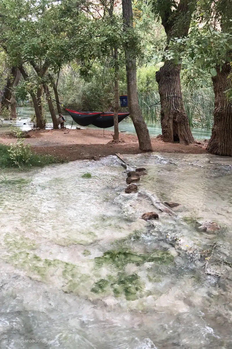 Two sleeping hammocks hanging between trees beside Havasu Creek.